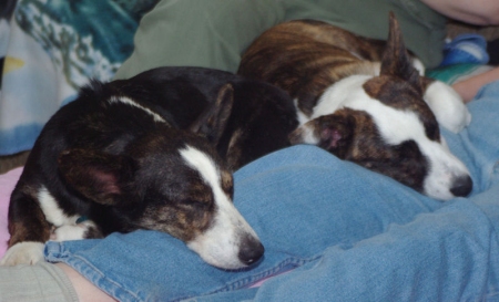 snoozing
