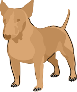 brown bull terrier